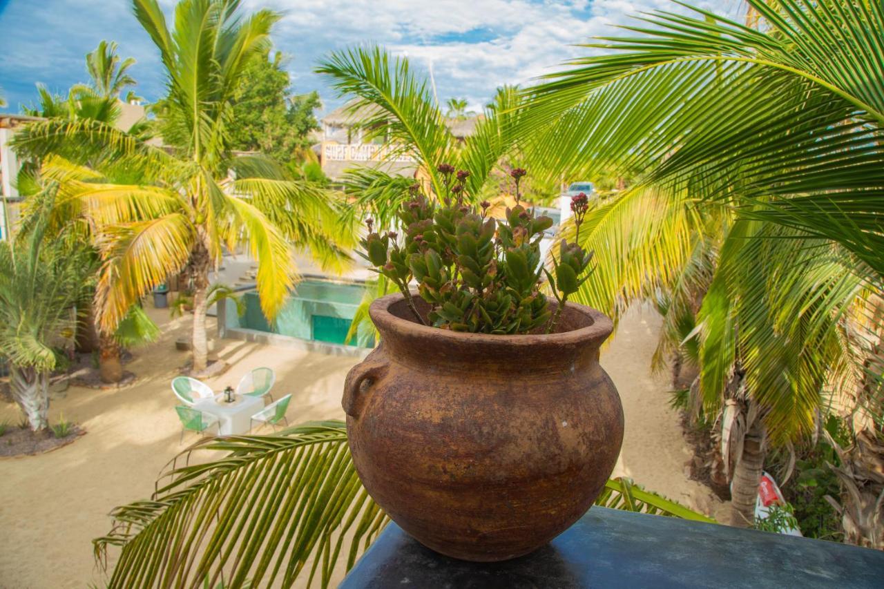 Pure Baja Private Suites-Upscale Property With Infinity Pool And Lush Gardens El Pescadero  エクステリア 写真