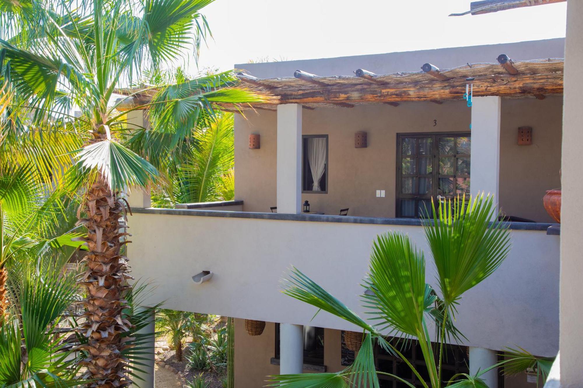 Pure Baja Private Suites-Upscale Property With Infinity Pool And Lush Gardens El Pescadero  エクステリア 写真