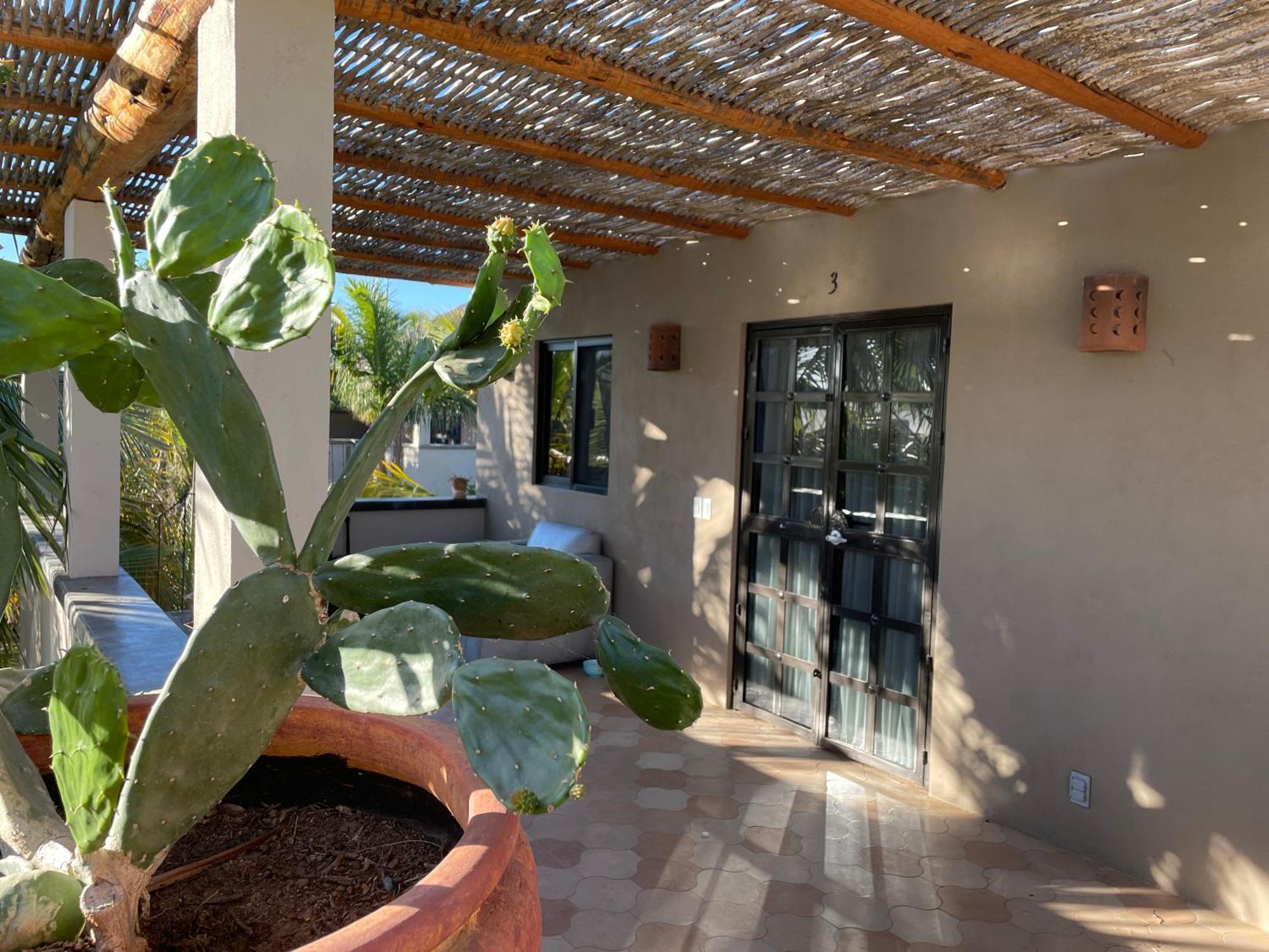 Pure Baja Private Suites-Upscale Property With Infinity Pool And Lush Gardens El Pescadero  エクステリア 写真